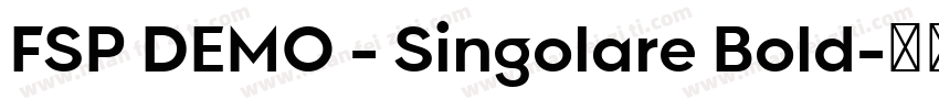 FSP DEMO - Singolare Bold字体转换